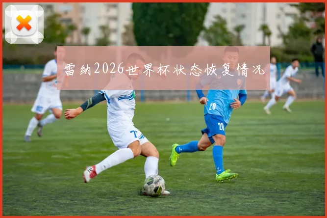 雷纳2026世界杯状态恢复情况