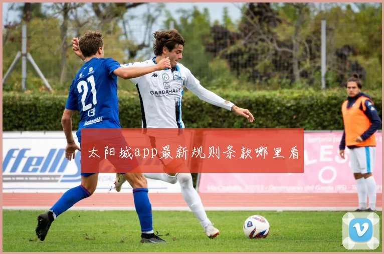 太阳城app最新规则条款哪里看