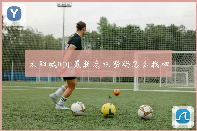 太阳城app最新忘记密码怎么找回