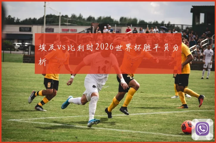 埃及vs比利时2026世界杯胜平负分析