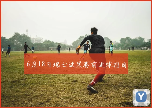 6月18日瑞士波黑赛前进球指南